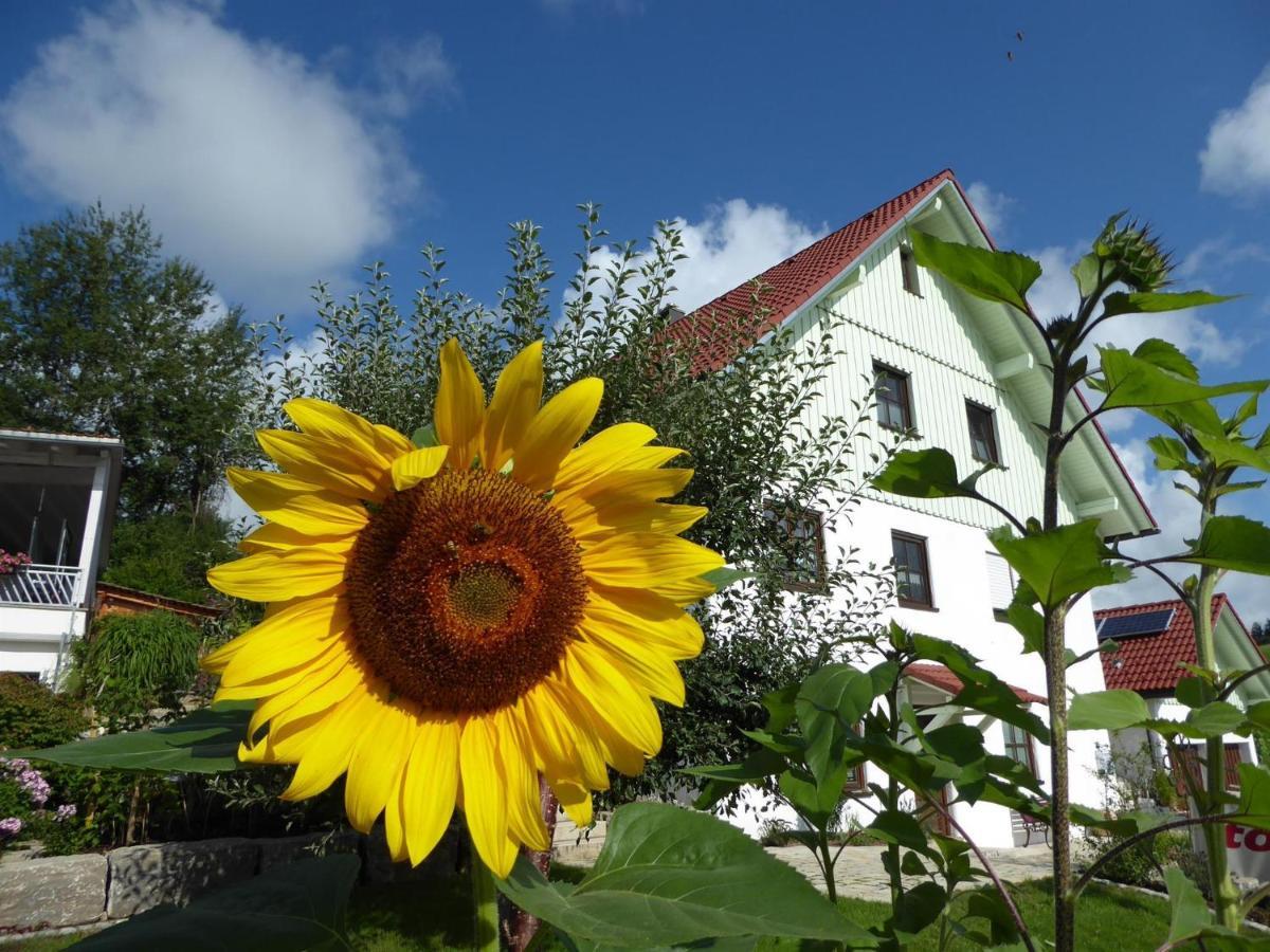 Erholungsraum Karsee - Ferienwohnung Wangen im Allgäu Kültér fotó