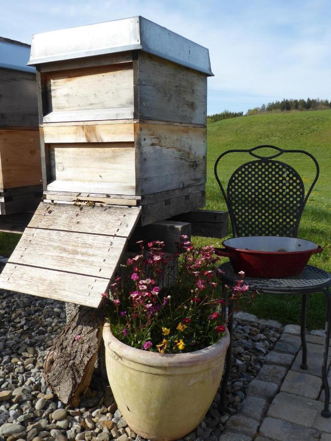 Erholungsraum Karsee - Ferienwohnung Wangen im Allgäu Kültér fotó